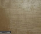 Image 13 - 